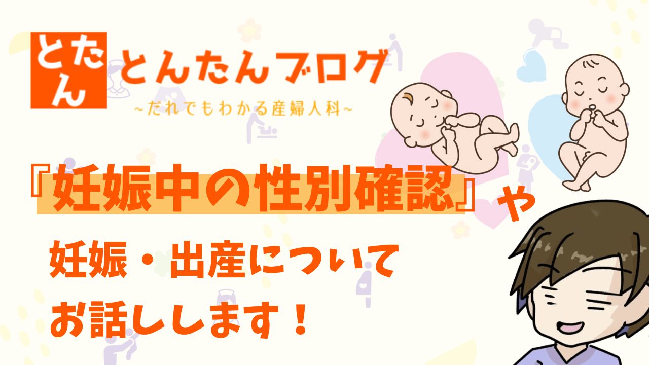 とんたんブログFV