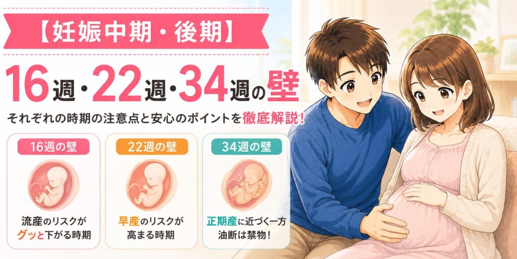 妊娠5週・6週・7週の「壁」って何？妊娠9週・12週・16週・22週・34週の壁も完全解説｜流産・早産リスクと安心の目安（2026年最新）