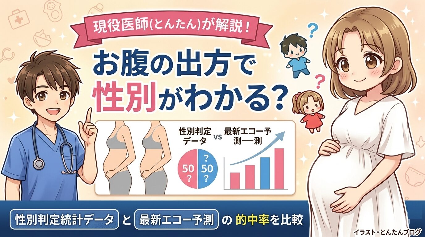 実写真、リアル。　端正な顔立ちの日本人美女