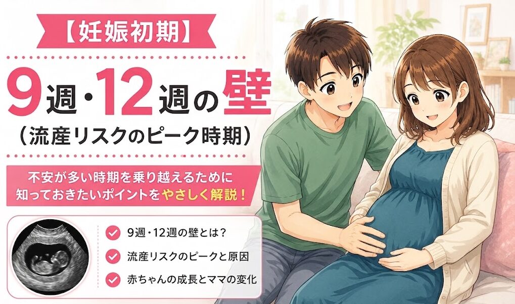 妊娠5週・6週・7週の「壁」って何？妊娠9週・12週・16週・22週・34週の壁も完全解説｜流産・早産リスクと安心の目安（2026年最新）