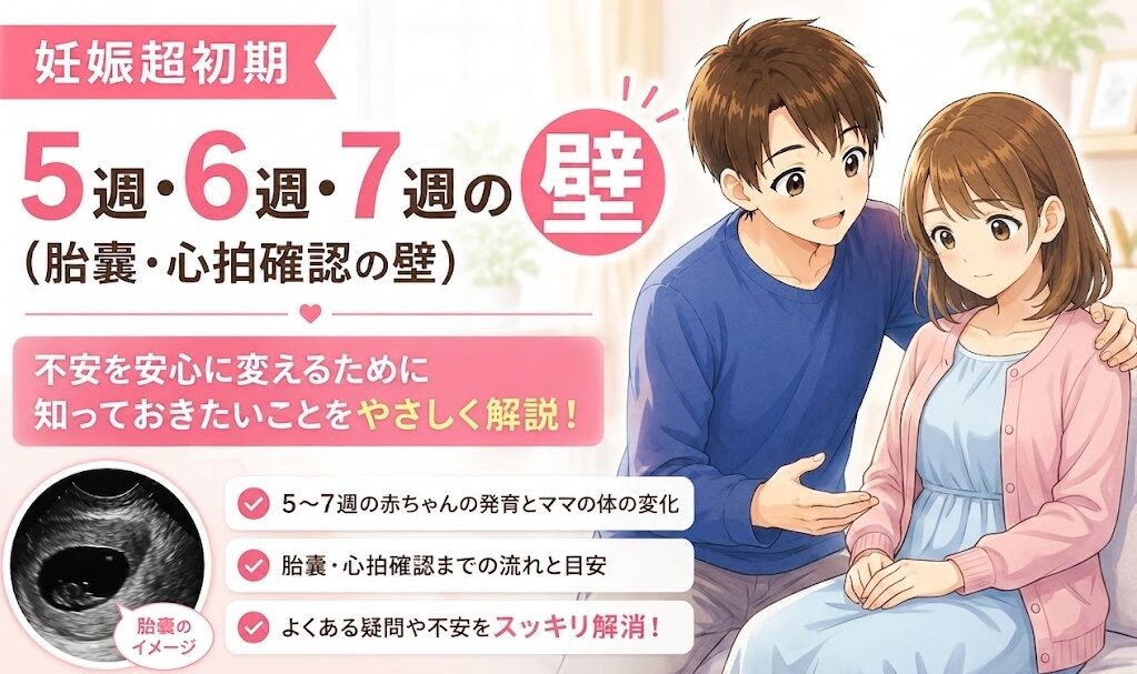 妊娠5週・6週・7週の「壁」って何？妊娠9週・12週・16週・22週・34週の壁も完全解説｜流産・早産リスクと安心の目安（2026年最新）