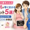 エコーで赤ちゃんの性別が早く分かるメリット5選！妊婦さんとパパの本音・口コミ体験談