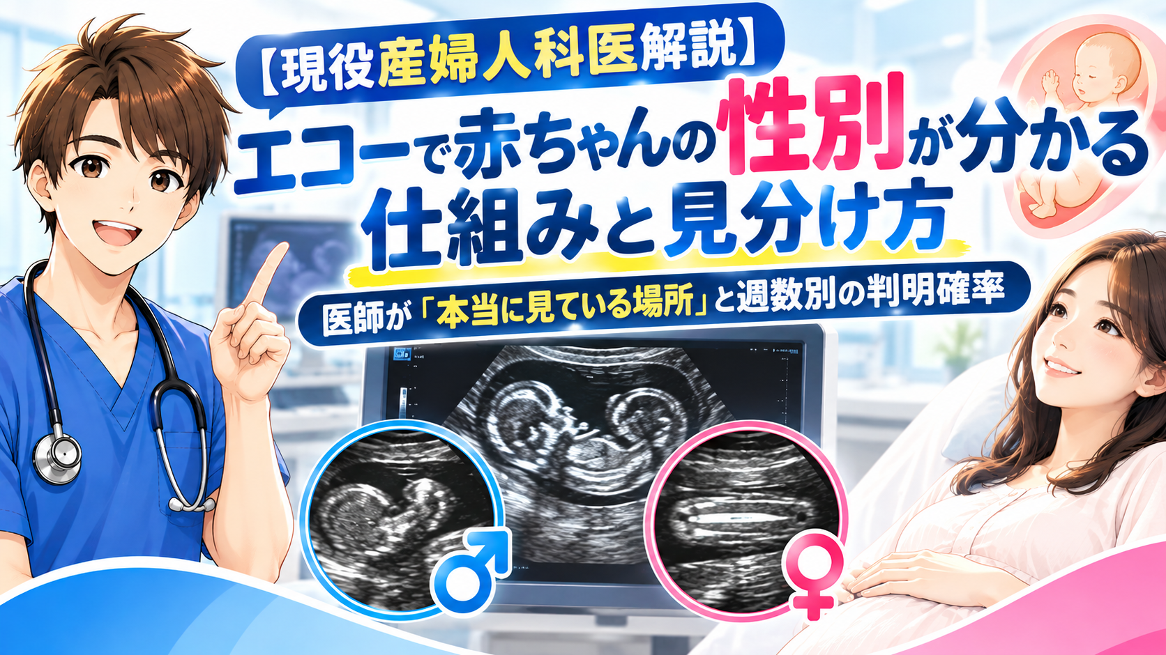 【現役産婦人科医解説】エコーで赤ちゃんの性別が分かる仕組みと見分け方｜医師が「本当に見ている場所」と週数別の判明確率